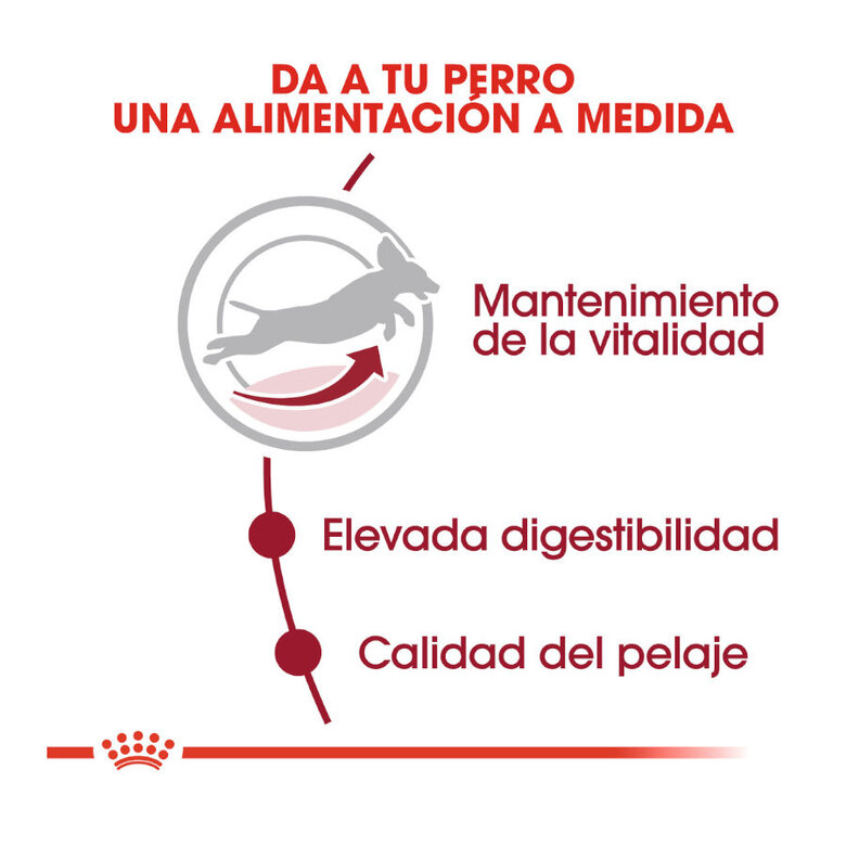 Royal Canin Medium 7+ Adult pienso para perros seniors, , large image number null